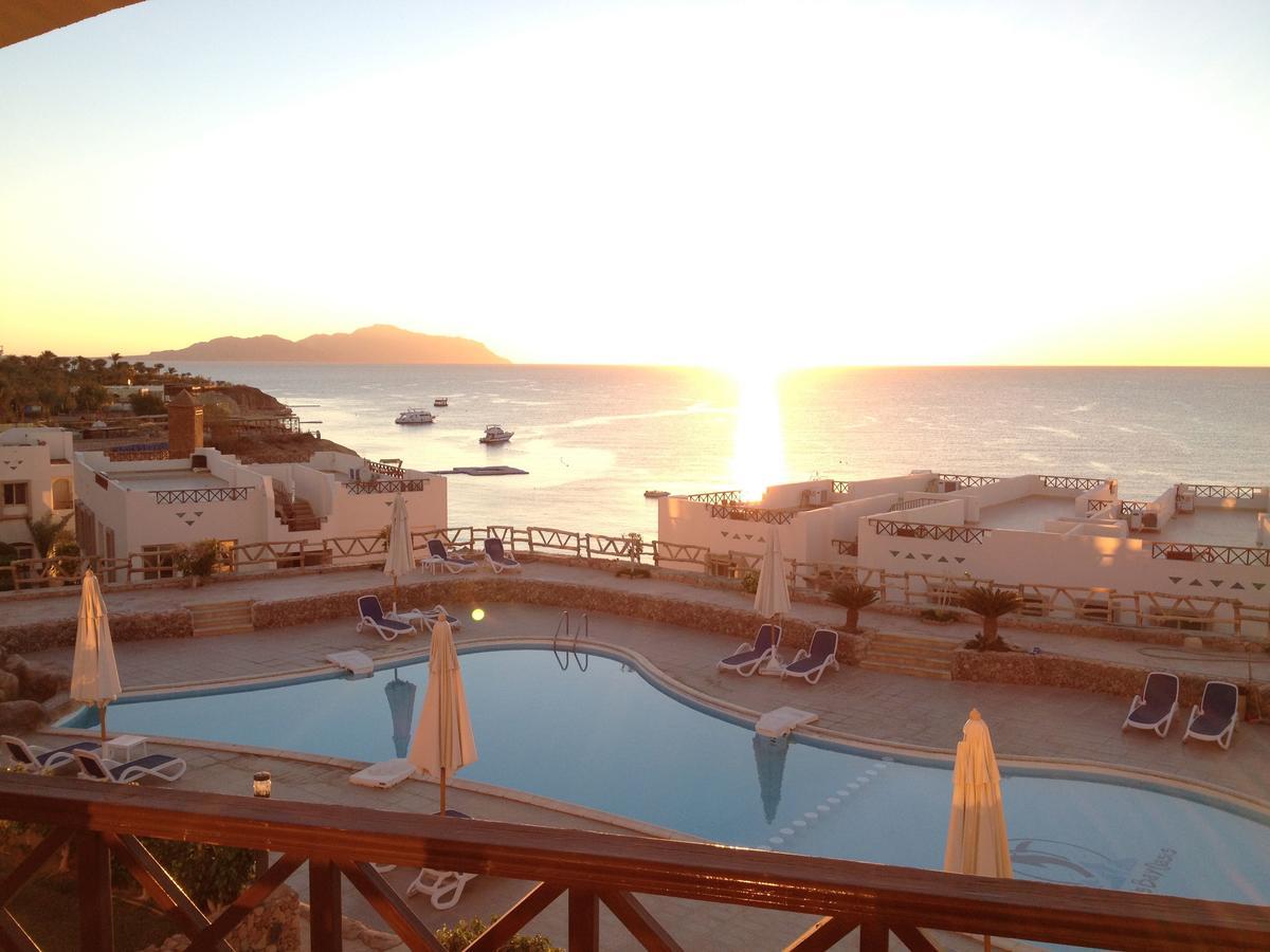 Sharks Bay Oasis Apartment Sharm el-Sheikh Exterior foto